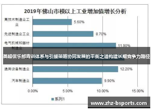 英超俱乐部青训体系与引援策略协同发展的平衡之道构建长期竞争力路径