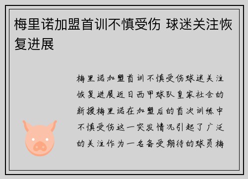 梅里诺加盟首训不慎受伤 球迷关注恢复进展